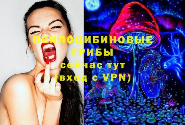 Альфа ПВП Аркадак