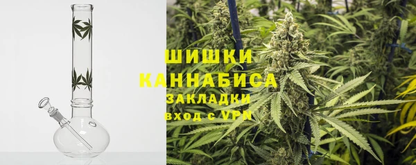 Альфа ПВП Аркадак