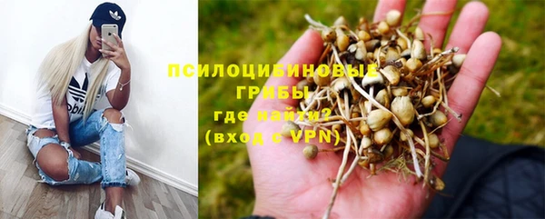стафф Краснотурьинск