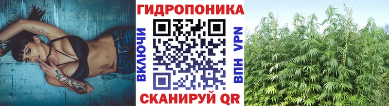 блэк спрут   Агидель  Шишки марихуана гибрид 